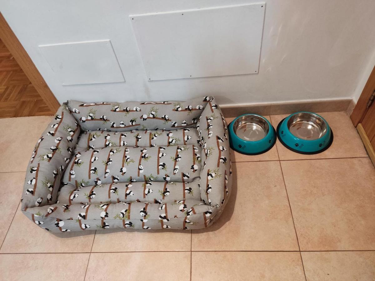 Appartement Alojamiento Rey Davina à Vilagarcía de Arousa Extérieur photo